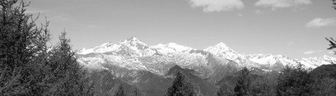 Foto: Blick ber Baumwipfel hinweg auf Berggipfel